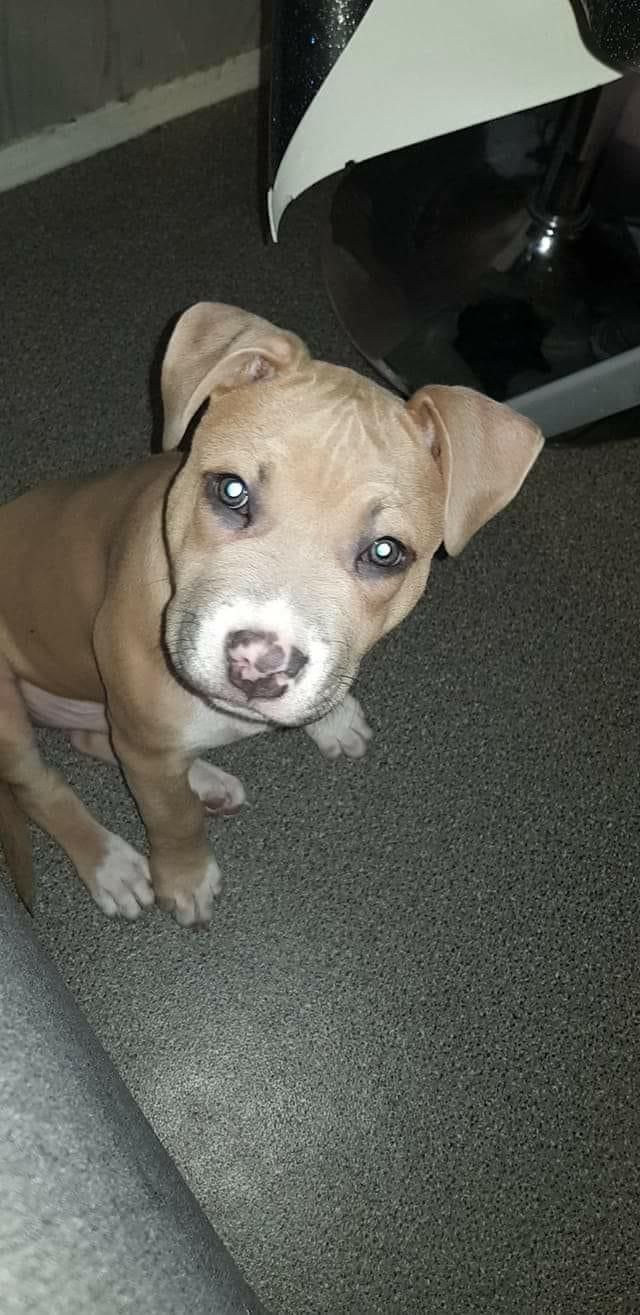 AA2DD7A4-2EA3-4AA4-8354-3CADFEEFA9A9