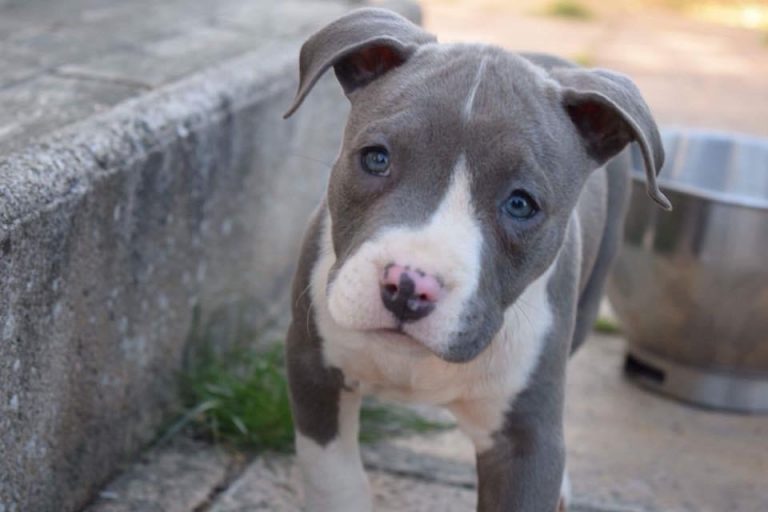 AC016E8C-8DC4-43EE-816E-B207E7E13136