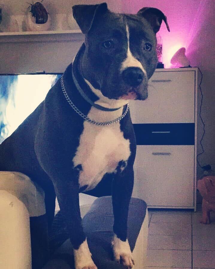 AE451A45-C60E-449B-818D-C32D22B882CC