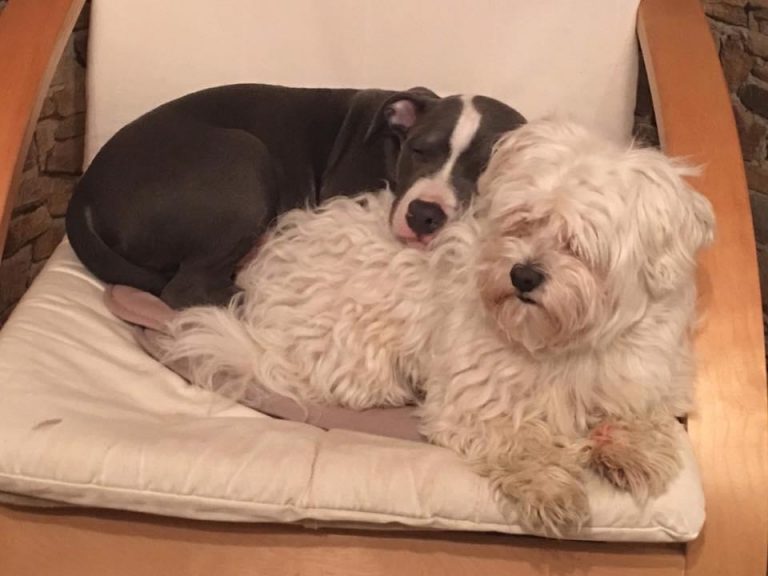 B00923F2-CB53-4083-AC5F-0AD67C4F1D70