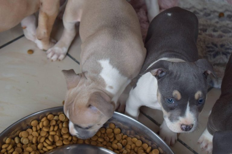 B279338D-350D-4D6E-9AE3-330DC054BECA