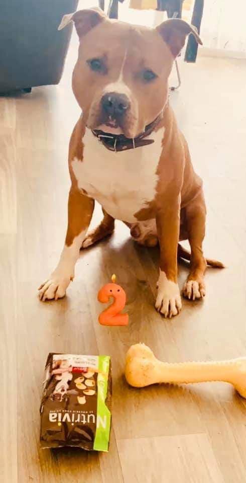 B315D672-5A85-41DB-8FF5-536C490A2BFA