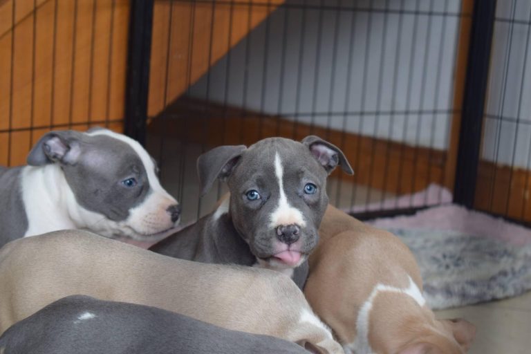 B354C3AC-9974-42C5-AE93-BEA7D40AB7C6