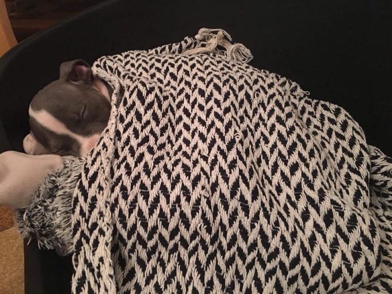 B51BEF84-30FA-46EF-AF61-4A9299163995