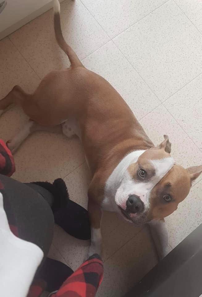 B9279F12-F239-41C0-B39B-9145D1AB8BCC