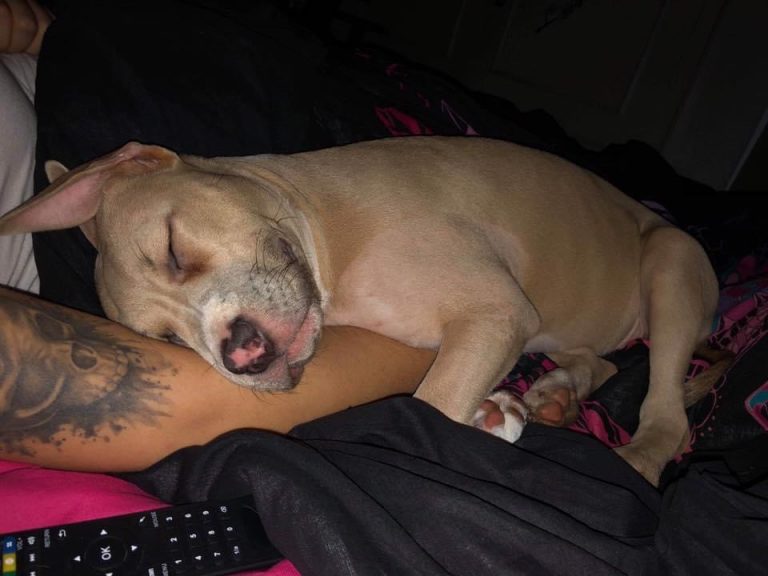 B9C8809D-E78F-49F1-B425-26CB8B271E34