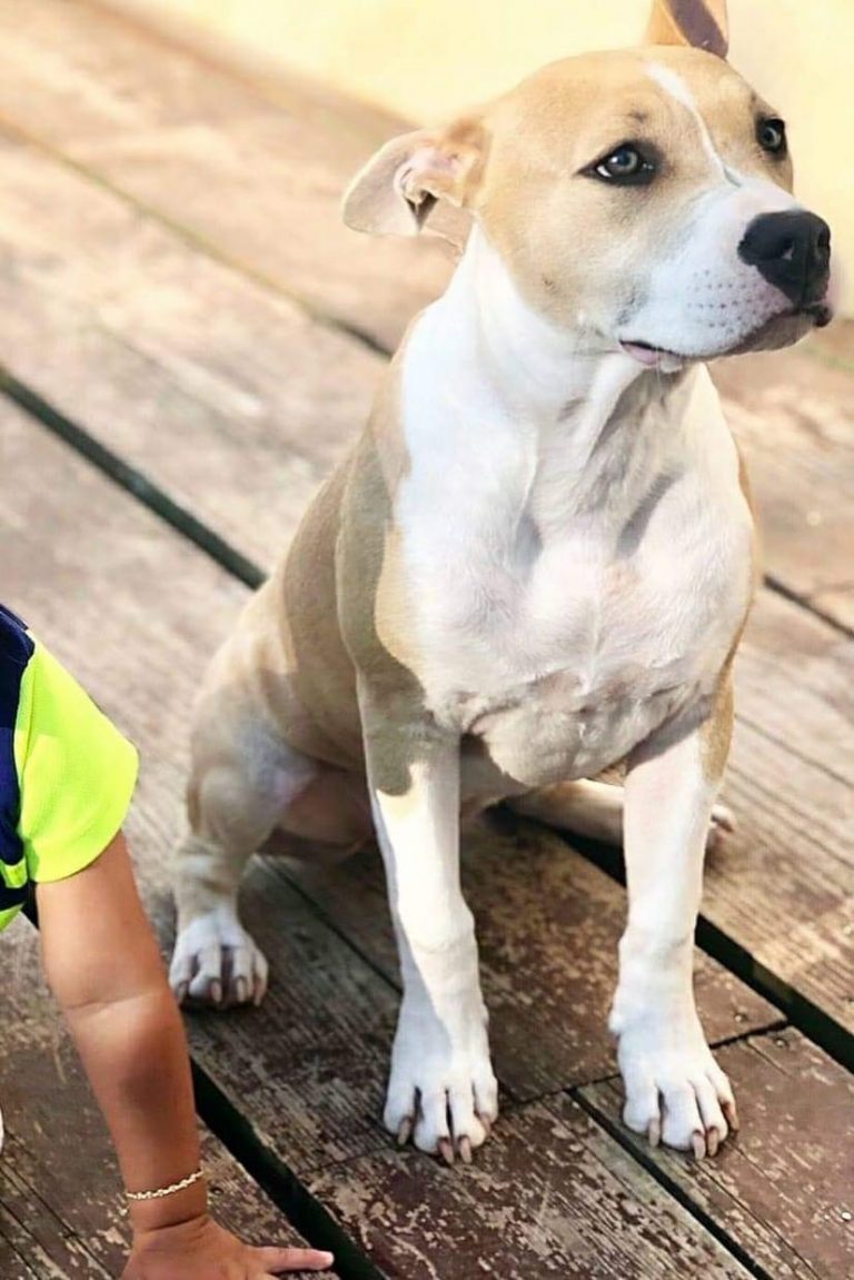 BF953046-70BD-4CD6-853F-5EFD0A4FA2AF