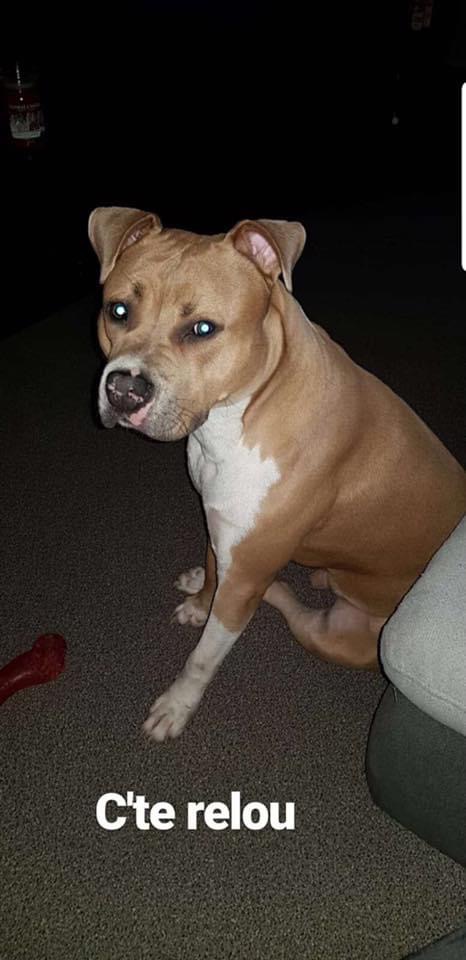 C38625DC-3A67-4DB3-B4C3-425F9A58A2D6