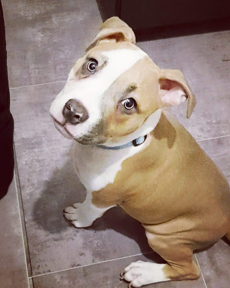 C78D8AE8-2C5A-4B04-B712-759DE831D568