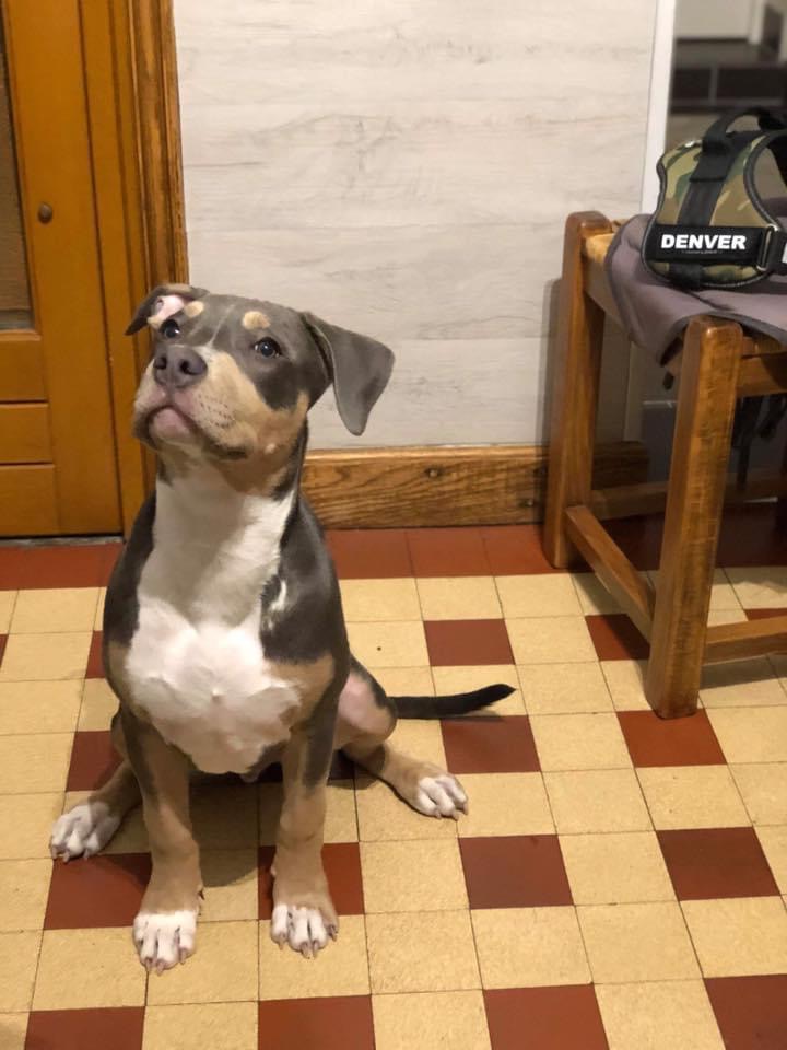 CC1B8910-84A6-4901-8011-AAC2C4AA83A7