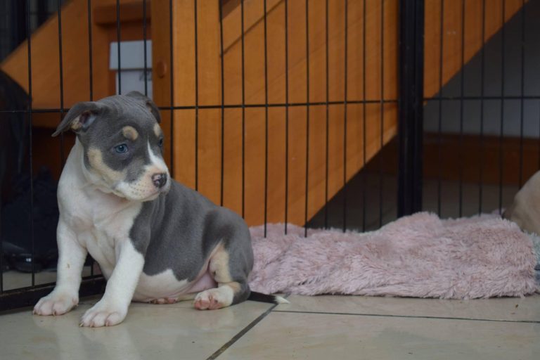 CE162DC5-C6B3-4902-9D4B-4A3D822A70ED