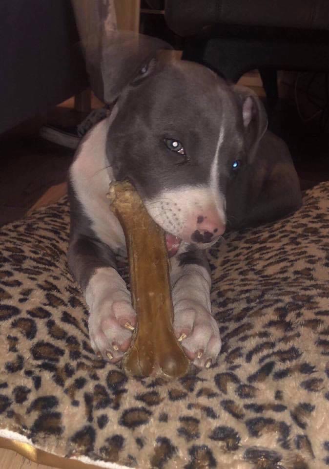 CED355F5-61A8-41AD-8680-E702F0E28A71