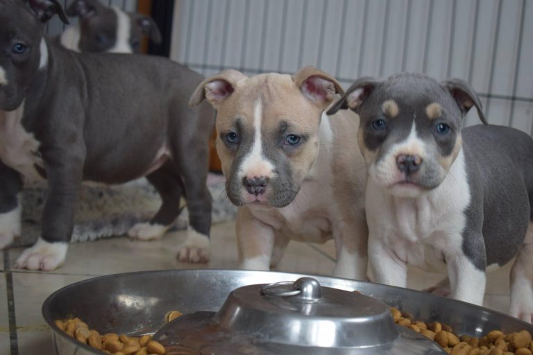 D2CA5575-23CB-4508-A5CB-0EDDA31EA70D