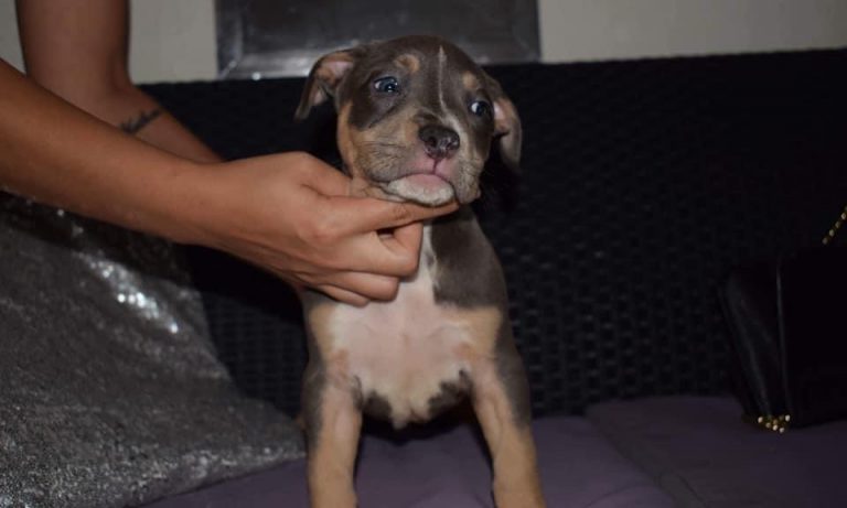 D45233FD-8DCC-4377-8690-F3E3795F0816