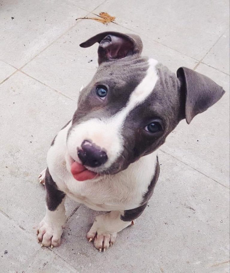 D9056DBC-60D9-428B-A96D-D5C8F95710A9