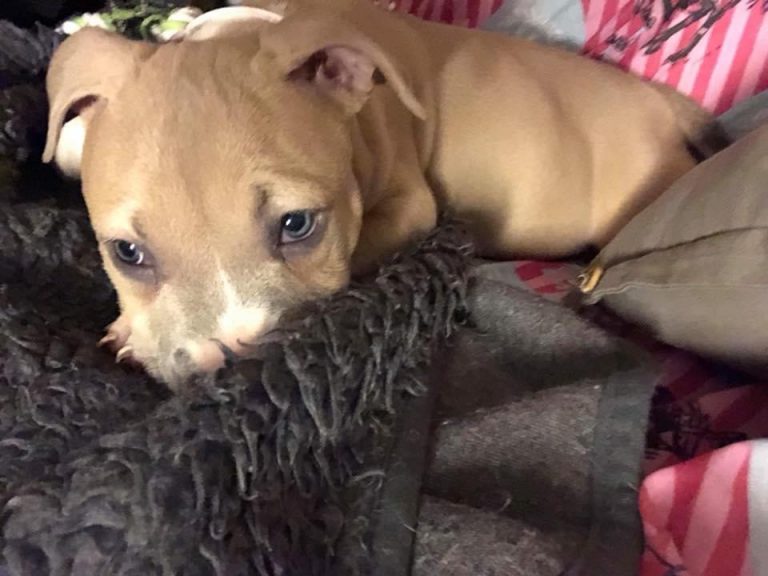 DA669105-B745-4431-ACE7-181CFCDF428C