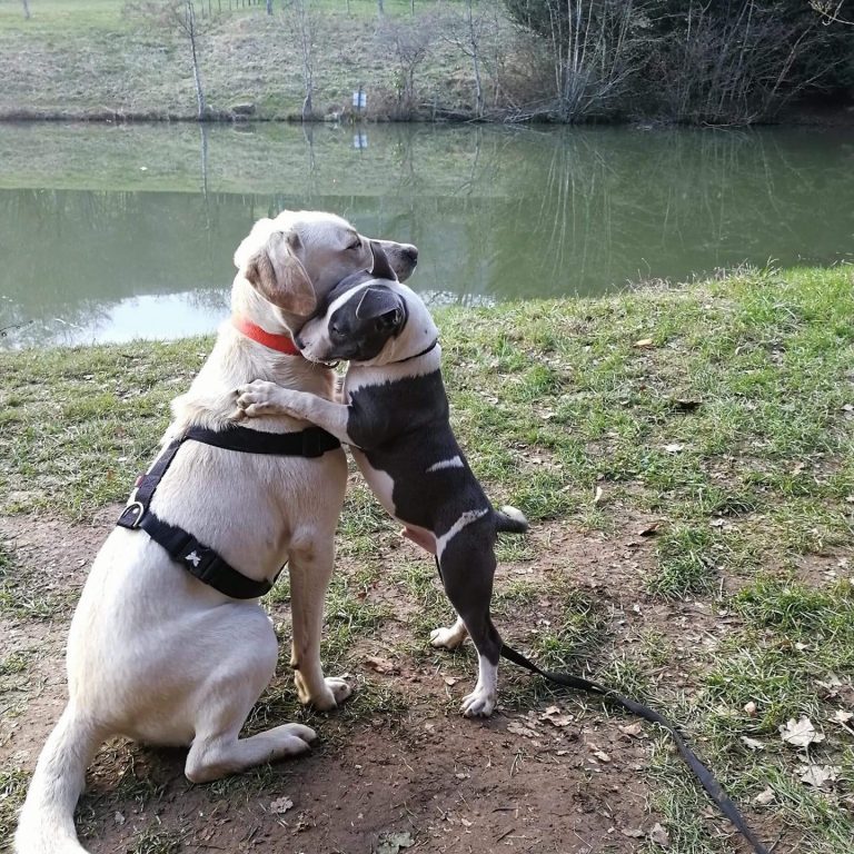 DE375AAA-07D1-4954-B754-9D12C5EFEB25