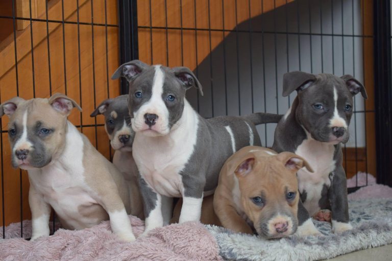 DF67543E-D540-49F4-9C38-F0548BA759CC