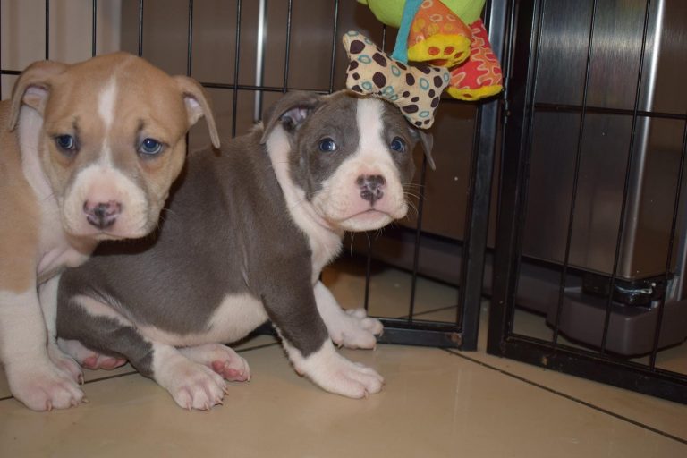 E0D712F1-3969-48EE-AE82-3F9DF39F24D9