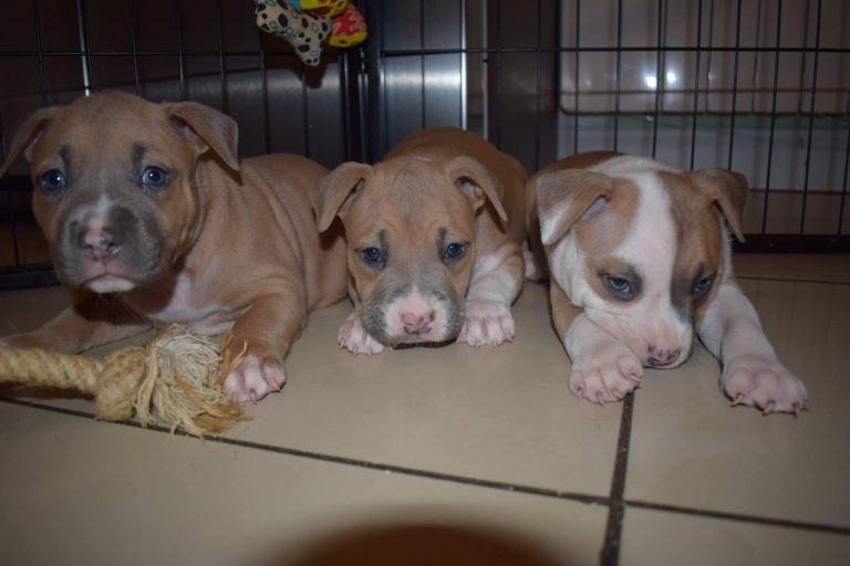 E12B9A21-96A8-4B7A-AE96-95CCC56388F1