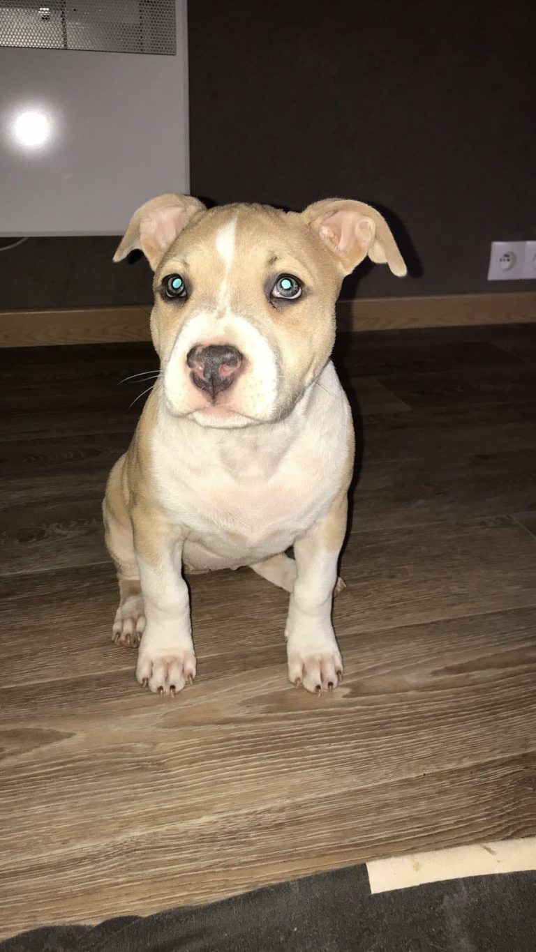 E2C69F5C-4B3B-4DD2-B25F-F4C1B0E51970