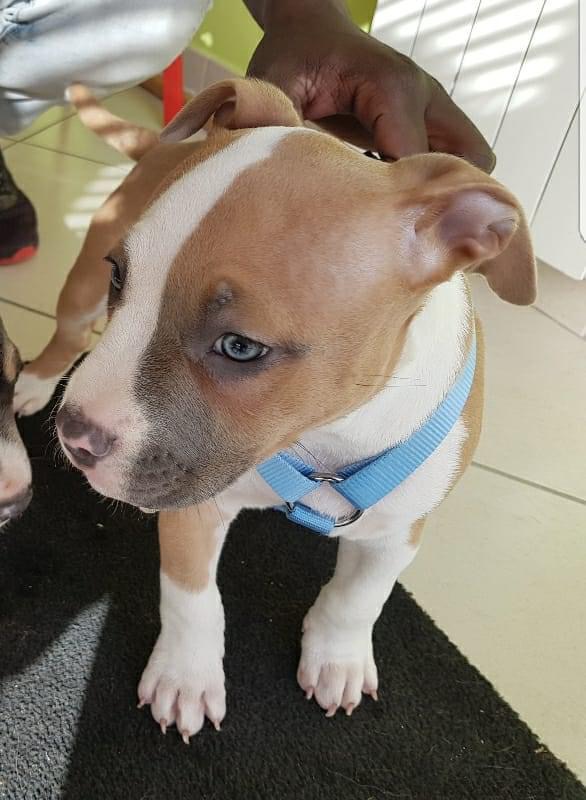 E81FFE5F-2DF7-4E66-ABD8-F6078CC8A6BB