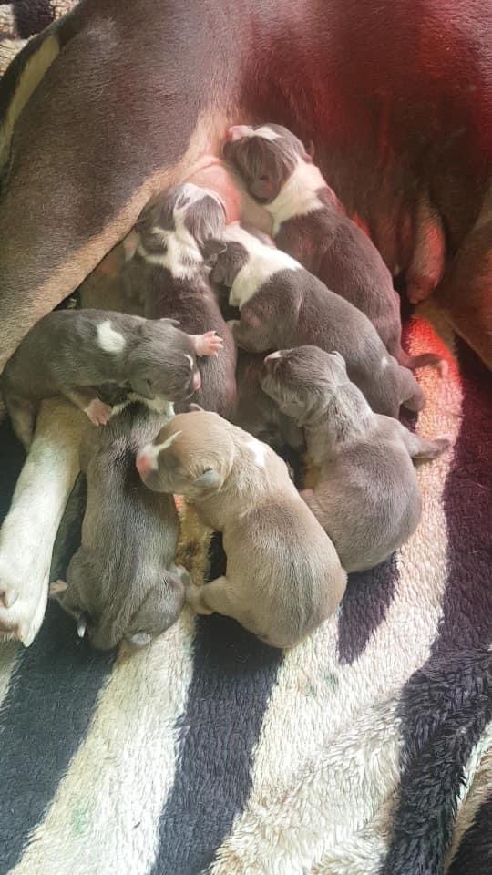 E88F83AE-DBEE-491B-867D-C82A43633DE6