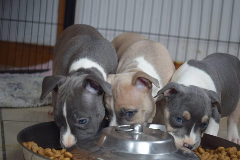 EBAE5DD5-1097-4D93-8C2B-17C000D6D5F5