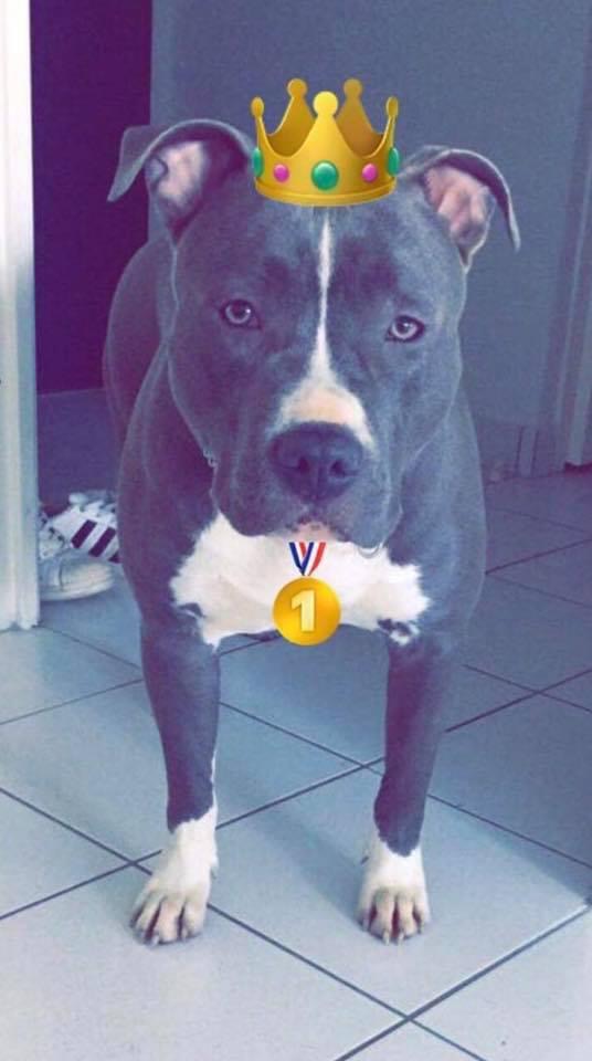 F13E69B6-2956-4F49-A17C-052564AD1AF3