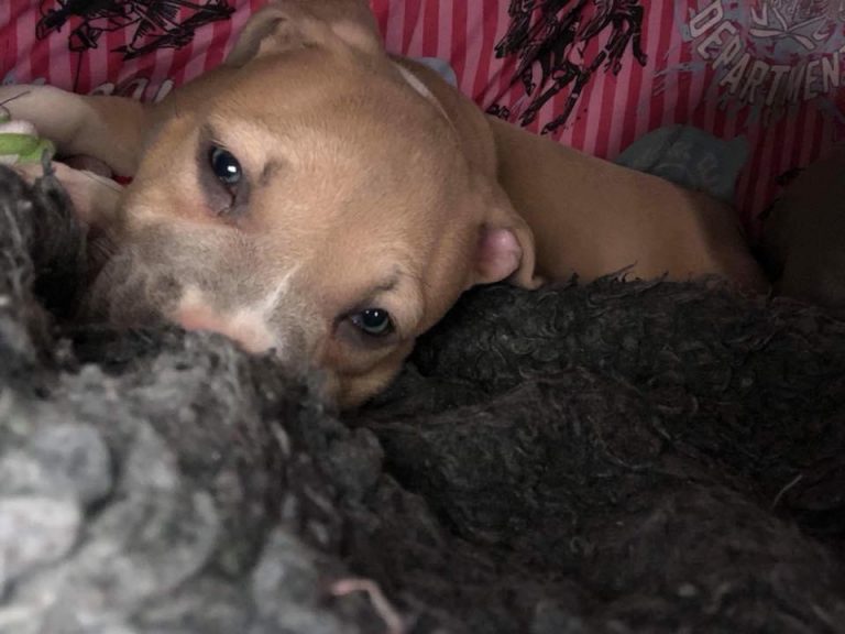 F22722EB-FE3C-4BEE-BAD7-CDAC67F1905C