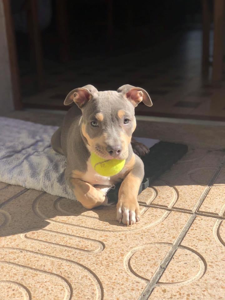 FE54909D-48B2-4F73-B819-5E4D75C85F71